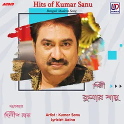 Hits Of Kumar Sanu